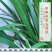 贵州特产锦屏五香山奈