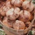 广东凉薯土瓜农家现挖现发质量保证当季新鲜大量货豆薯地瓜