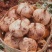 广东凉薯土瓜农家现挖现发质量保证当季新鲜大量货豆薯地瓜