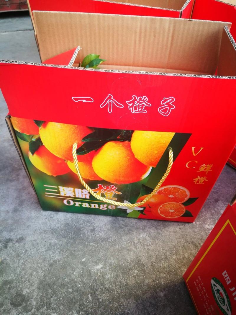 明日见