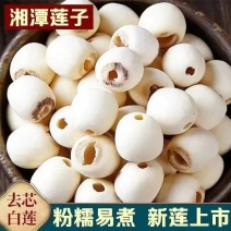 莲子湖南特产无芯磨皮白莲子去心去皮湘莲米干货