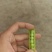 【推荐】豌豆荚青豌豆甜豌豆量大从优产地直销货源充足！