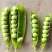 【推荐】豌豆荚青豌豆甜豌豆量大从优产地直销货源充足！