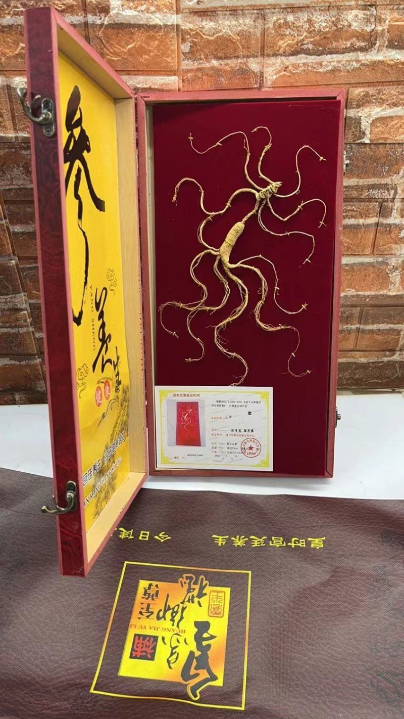 长白山野山参特价活动。精品木质礼品盒，参龄高