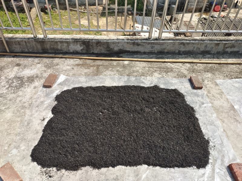 广东野生黑蚂蚁干货