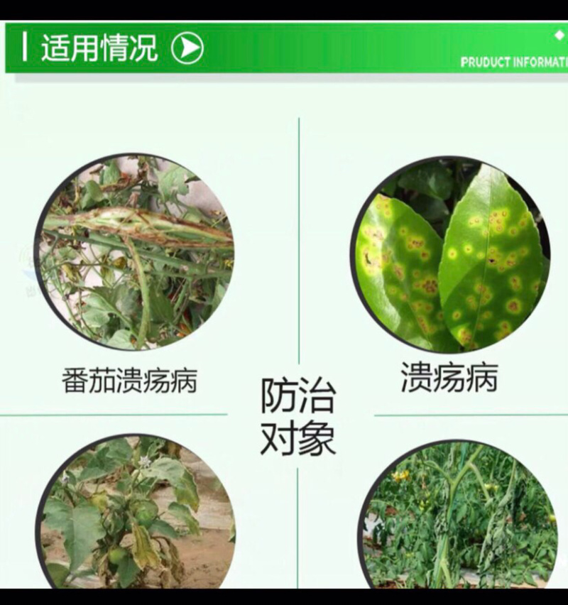 双星20%乙酸铜黄瓜苗期猝倒病农药杀菌剂