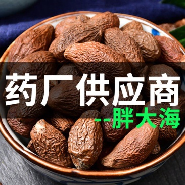 胖大海大海各种规格无硫精选