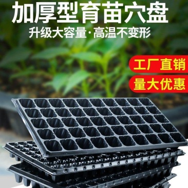 穴盘育苗盘育苗盒器苗木多肉叶插育苗箱育苗盆托盘培育