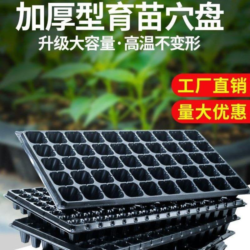 穴盘育苗盘育苗盒器苗木多肉叶插育苗箱育苗盆托盘培育