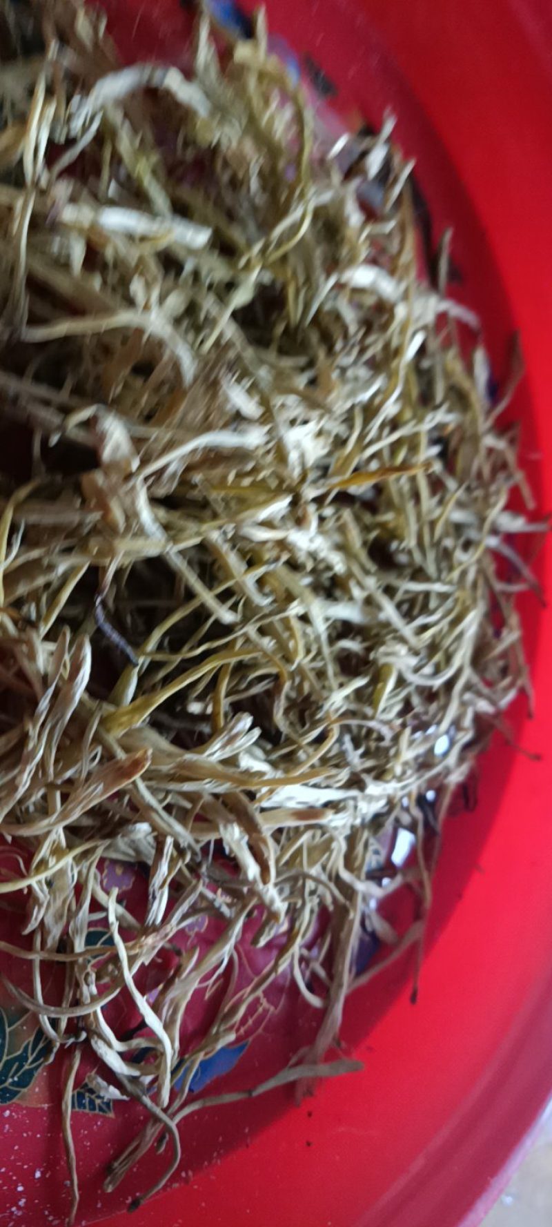 农家自种的金银花新鲜，味道好250克1件包邮。