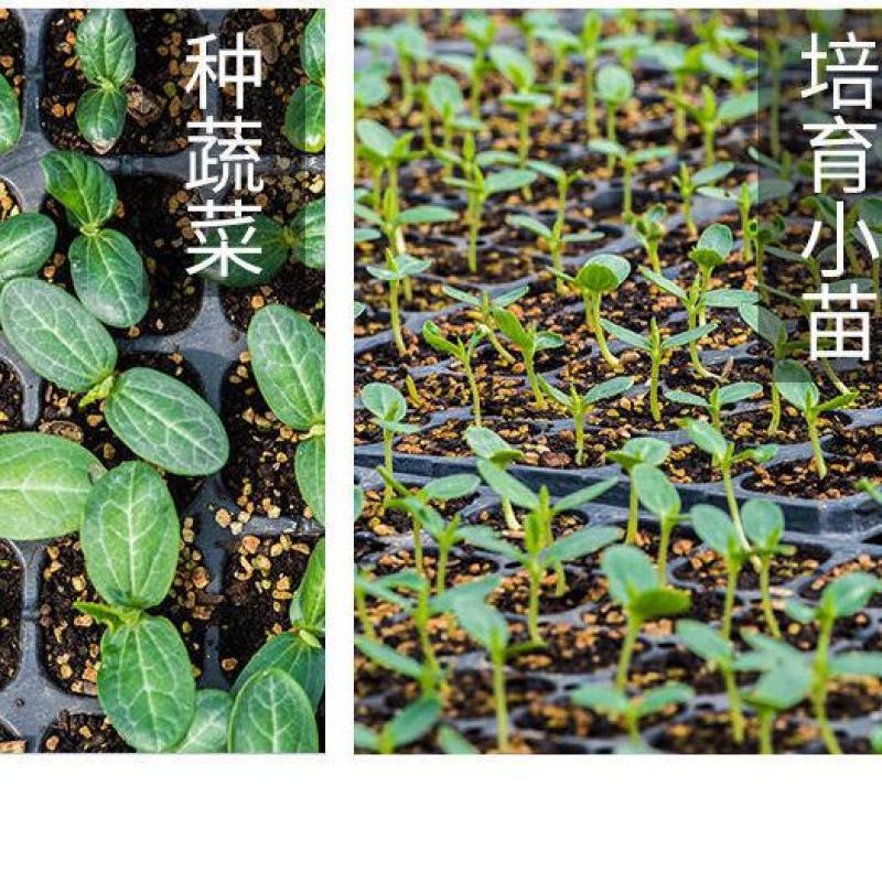 穴盘育苗盘育苗盒器苗木多肉叶插育苗箱育苗盆托盘培育