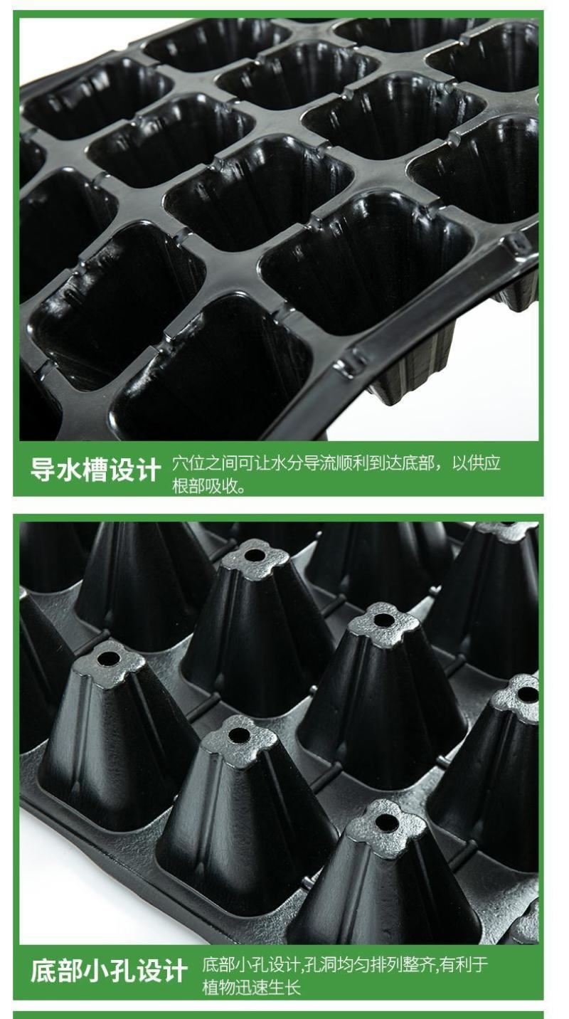 穴盘育苗盘育苗盒器苗木多肉叶插育苗箱育苗盆托盘培育