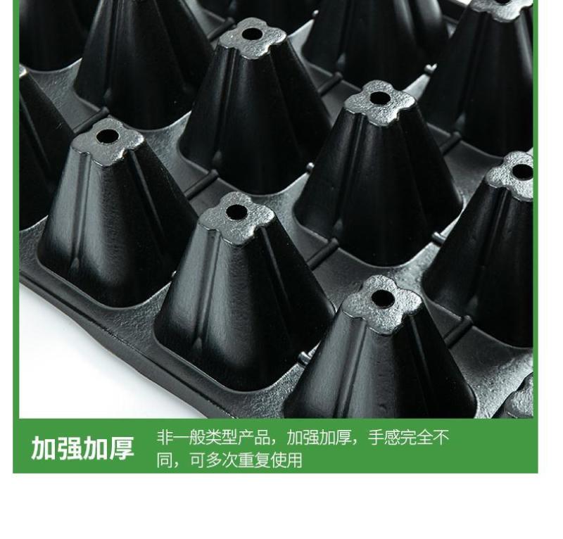 穴盘育苗盘育苗盒器苗木多肉叶插育苗箱育苗盆托盘培育
