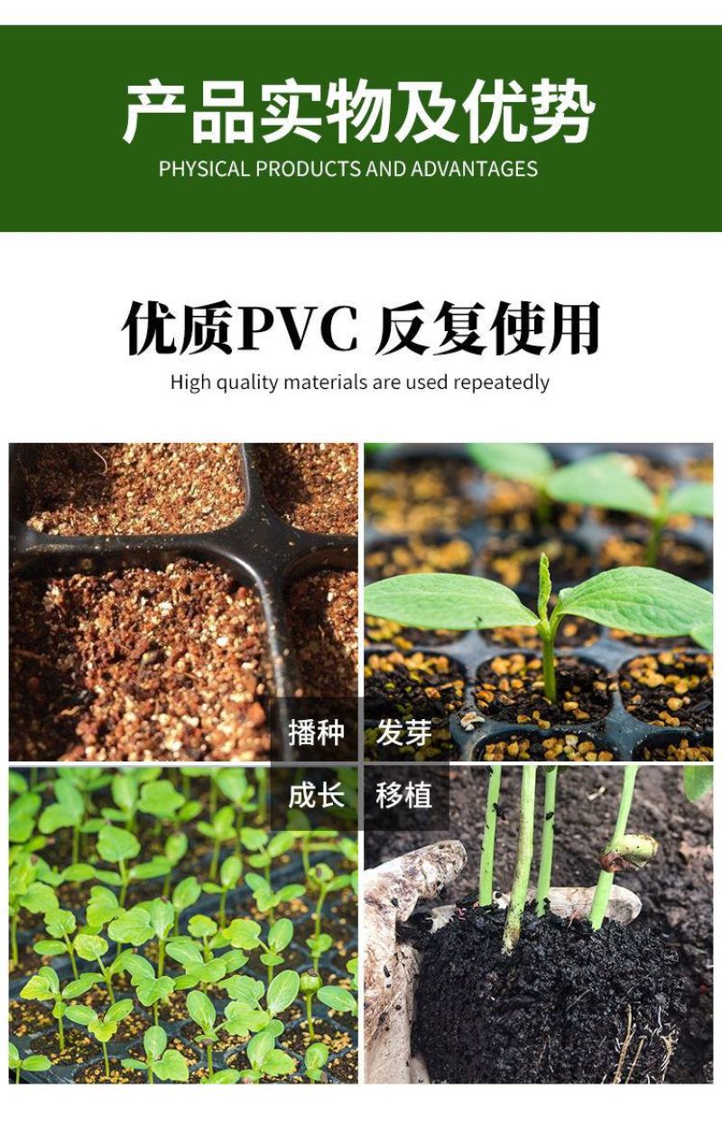 穴盘育苗盘育苗盒器苗木多肉叶插育苗箱育苗盆托盘培育