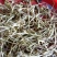 农家自种的金银花新鲜，味道好250克1件包邮。