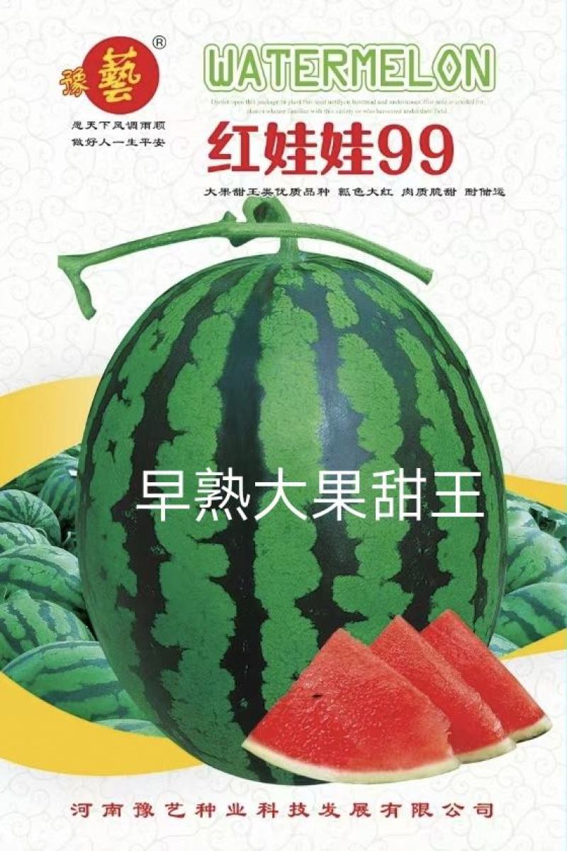 博韬甜王西瓜种子大果含糖量高大果型不空心不倒瓤所有品种