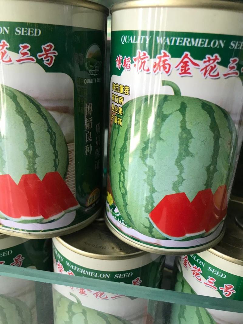 改良金花三西瓜种子~更抗病耐重茬果肉大红亩产6000公斤