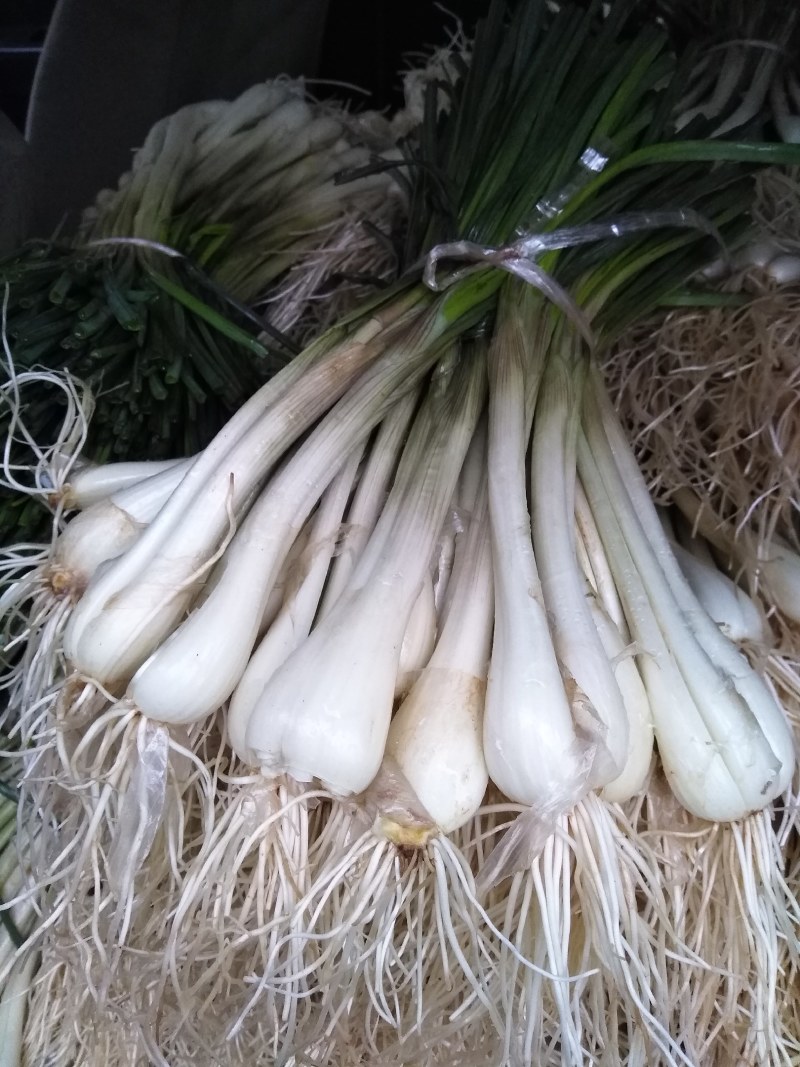 藠头