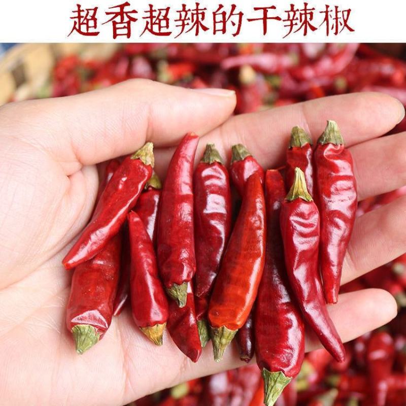 贵州满天星遵义老干妈辣椒小米辣特辣朝天椒红干海椒魔鬼辣椒