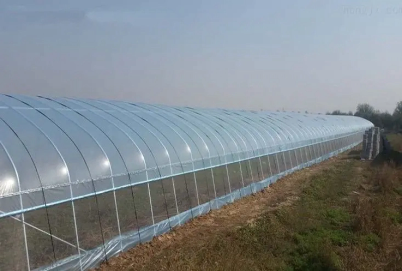 大棚膜高端大棚膜8-15丝长度规格均可定做