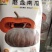 磨盘南瓜种子丨，中晚熟，生育期150-160天，
