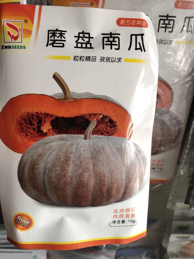 磨盘南瓜种子丨，中晚熟，生育期150-160天，
