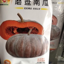 磨盘南瓜种子丨，中晚熟，生育期150-160天，