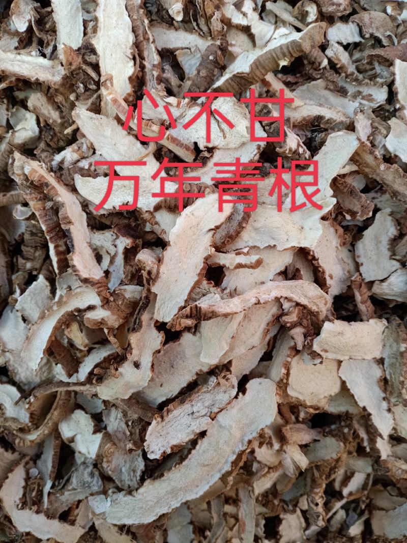 中药材云南铁扁担别名竹根七、万年青根心不甘、须瓣开口箭