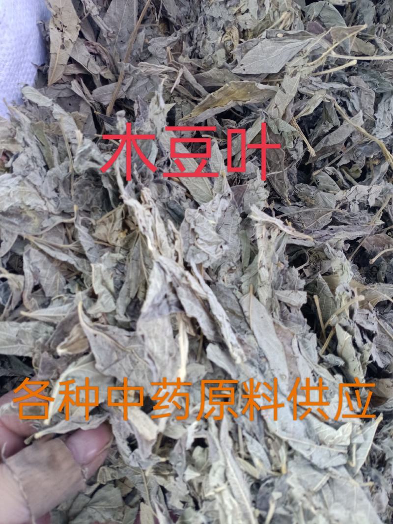 中药材木豆叶树豆叶股骨头三叶豆柳豆叶质量保证