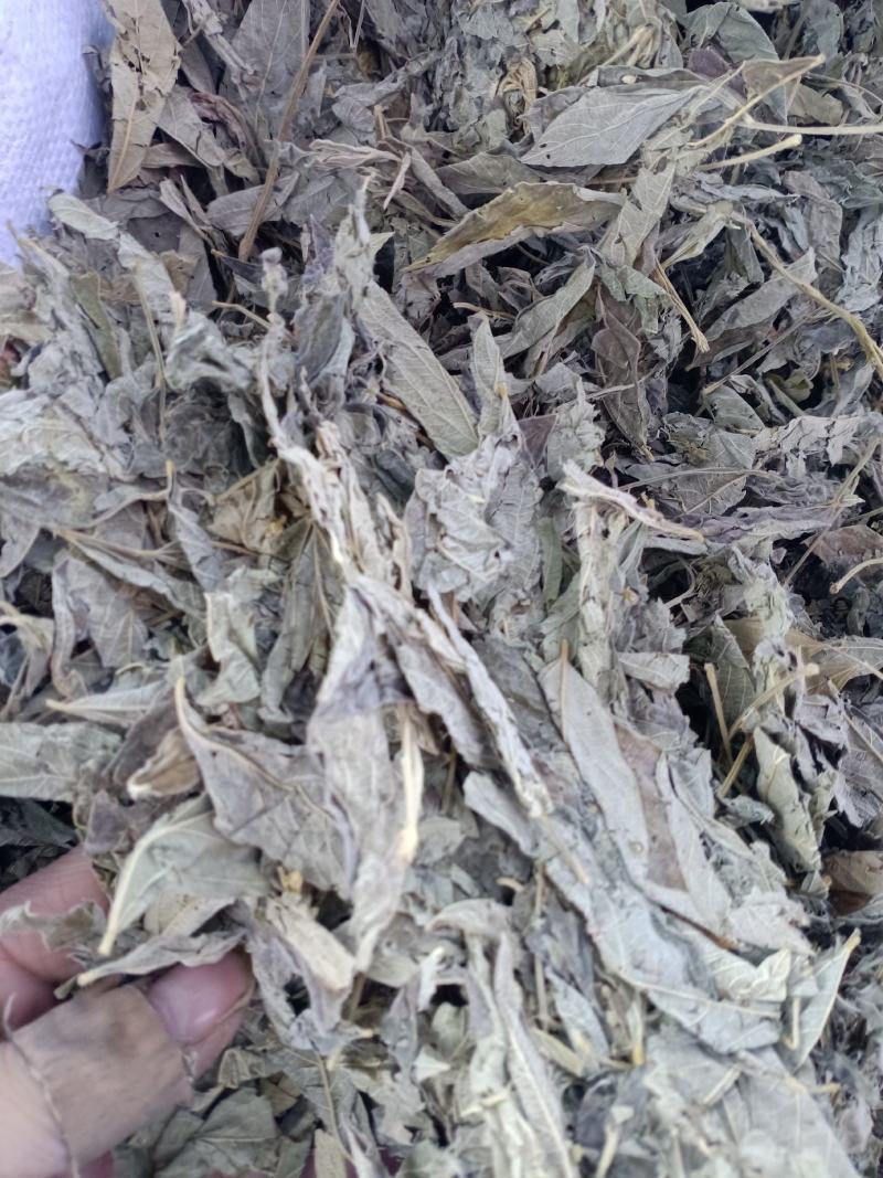 中药材木豆叶树豆叶股骨头三叶豆柳豆叶质量保证