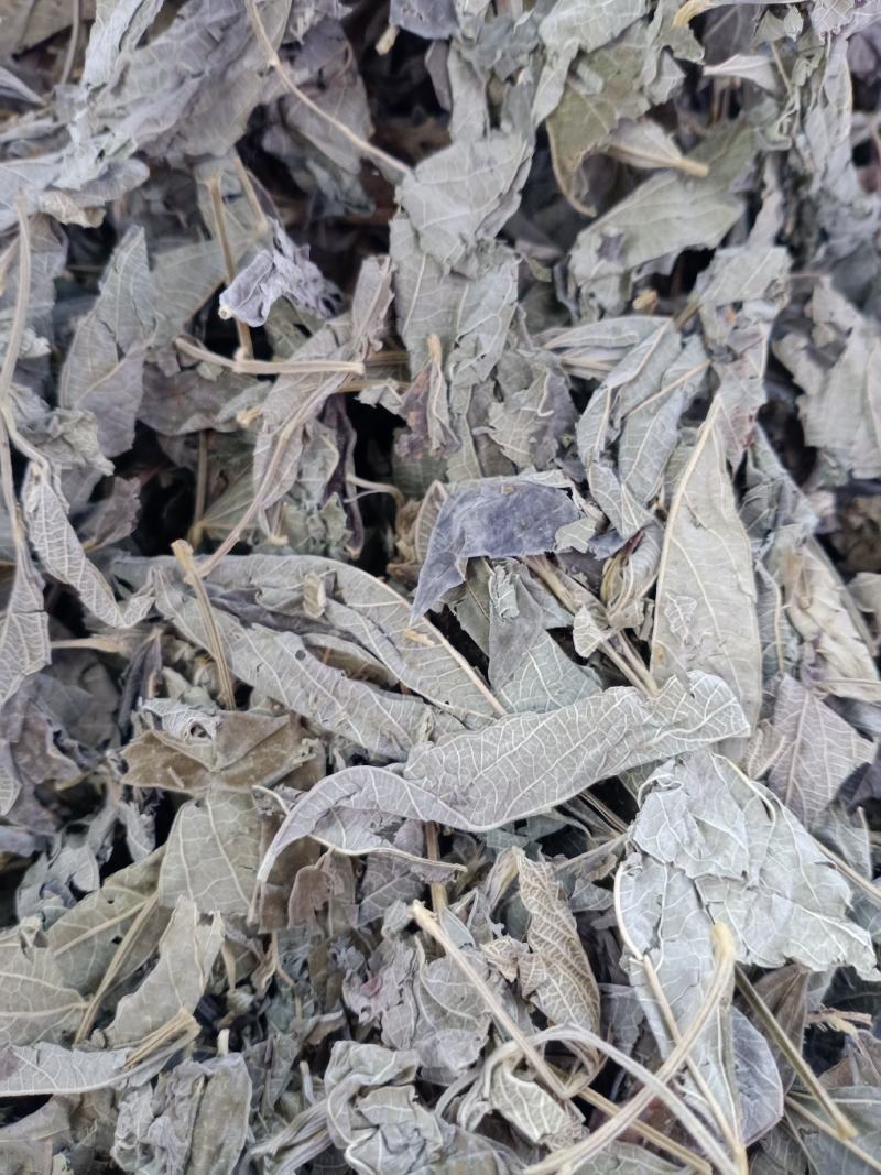 中药材木豆叶树豆叶股骨头三叶豆柳豆叶质量保证