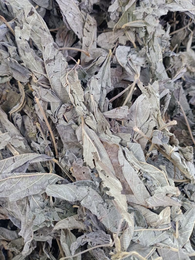 中药材木豆叶树豆叶股骨头三叶豆柳豆叶质量保证