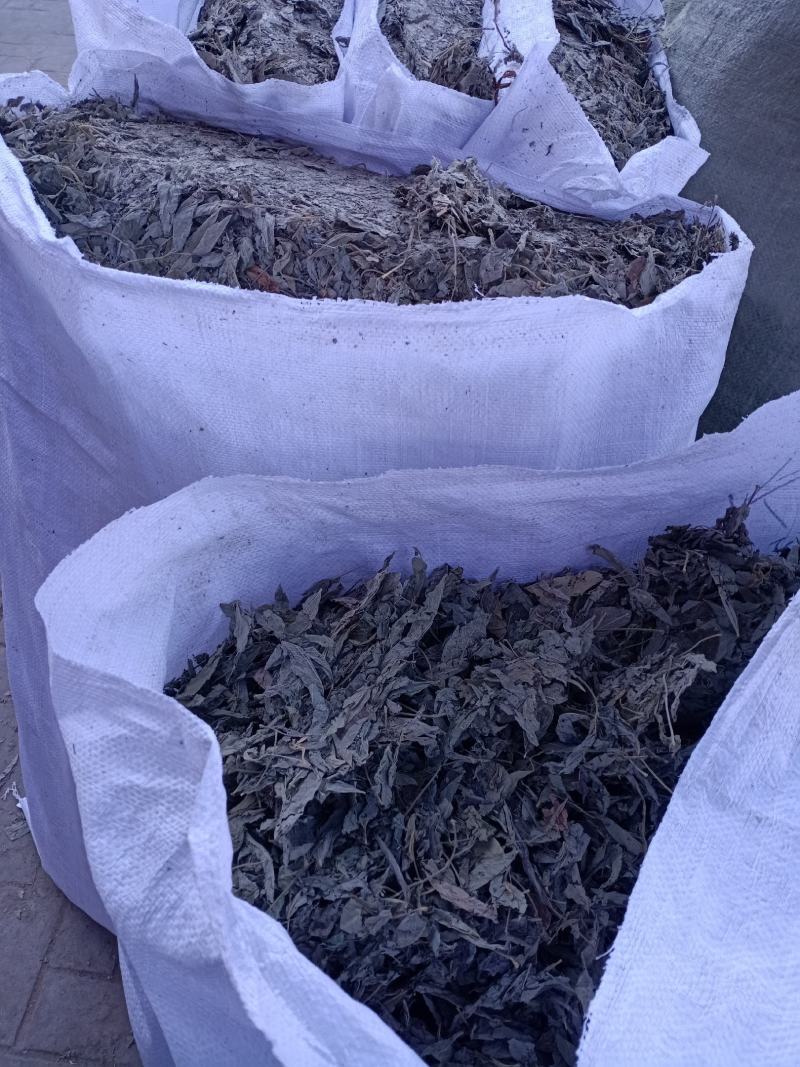 中药材木豆叶树豆叶股骨头三叶豆柳豆叶质量保证