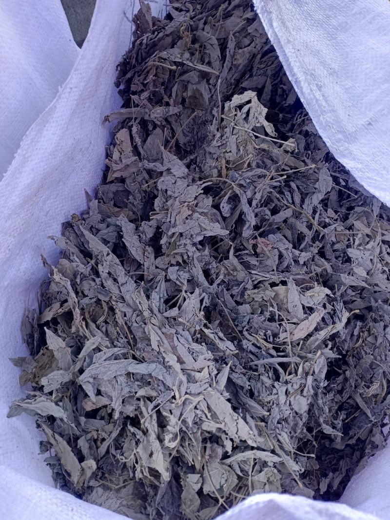 中药材木豆叶树豆叶股骨头三叶豆柳豆叶质量保证