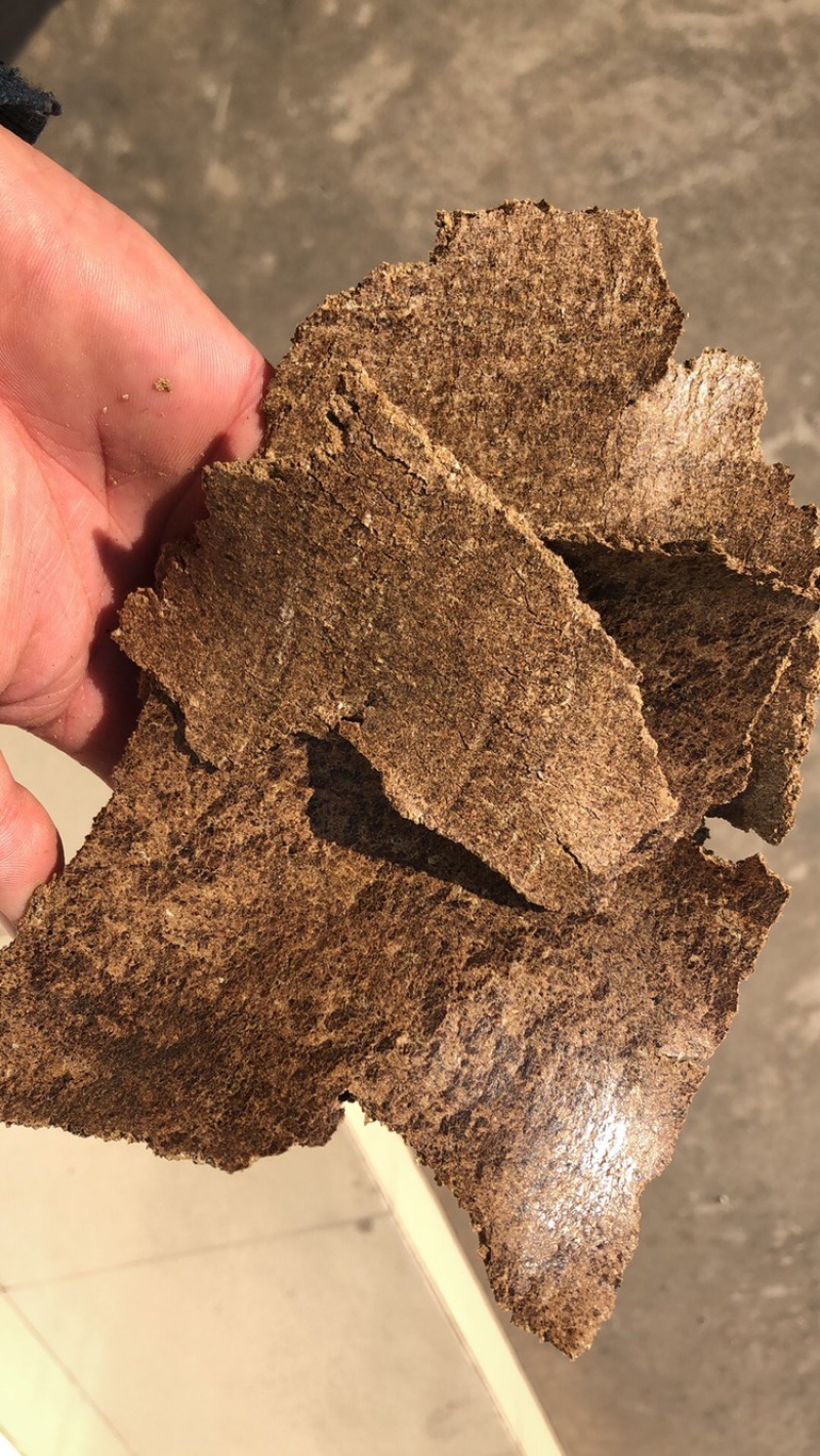 主营有机肥饼肥饼饼柏肥质量产量价格稳定