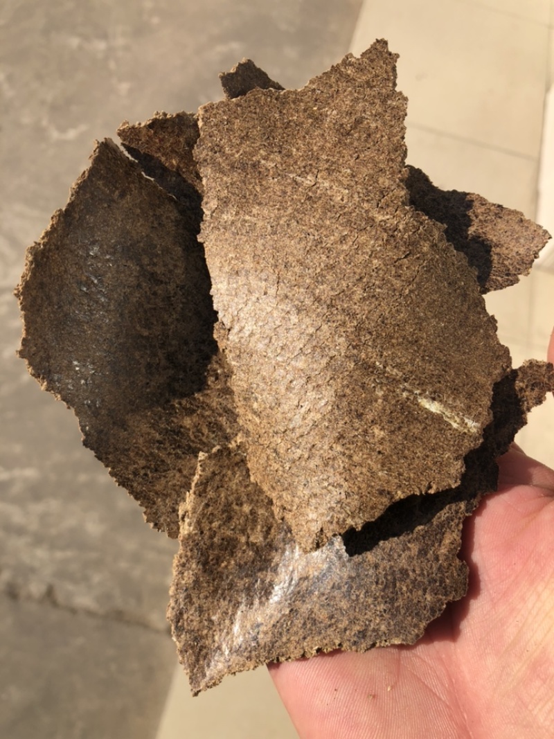 主营有机肥饼肥饼饼柏肥质量产量价格稳定