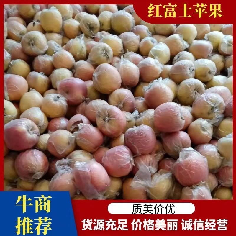 红富士苹果个大口感好有订货的老板抓紧联系
