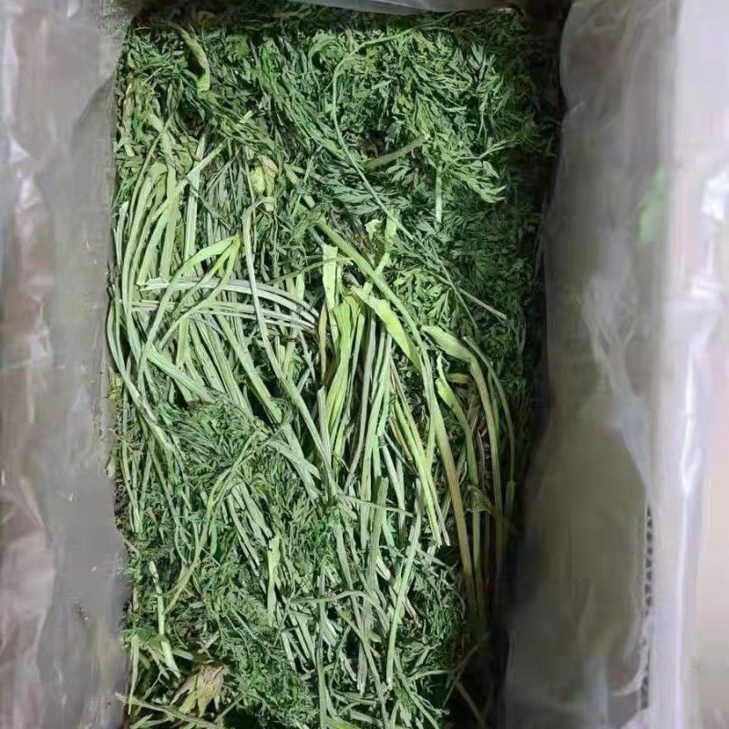 兔子饲草，紫花苜蓿