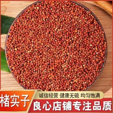 褚实子道地药材,质优价实,品质保证,药典标准,一公斤起