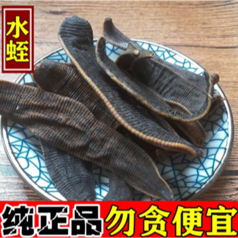 水蛭干货回收，水蛭苗，蚂蝗苗幼年开口苗批发欢迎实地考察