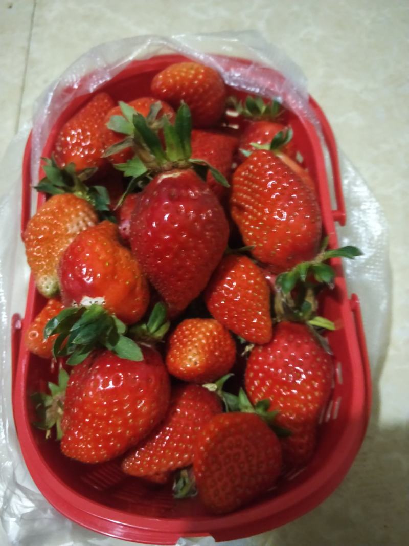 巧克力草莓