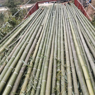 斑竹竹竿竹节各个规格都可以定做产地现货价格实惠