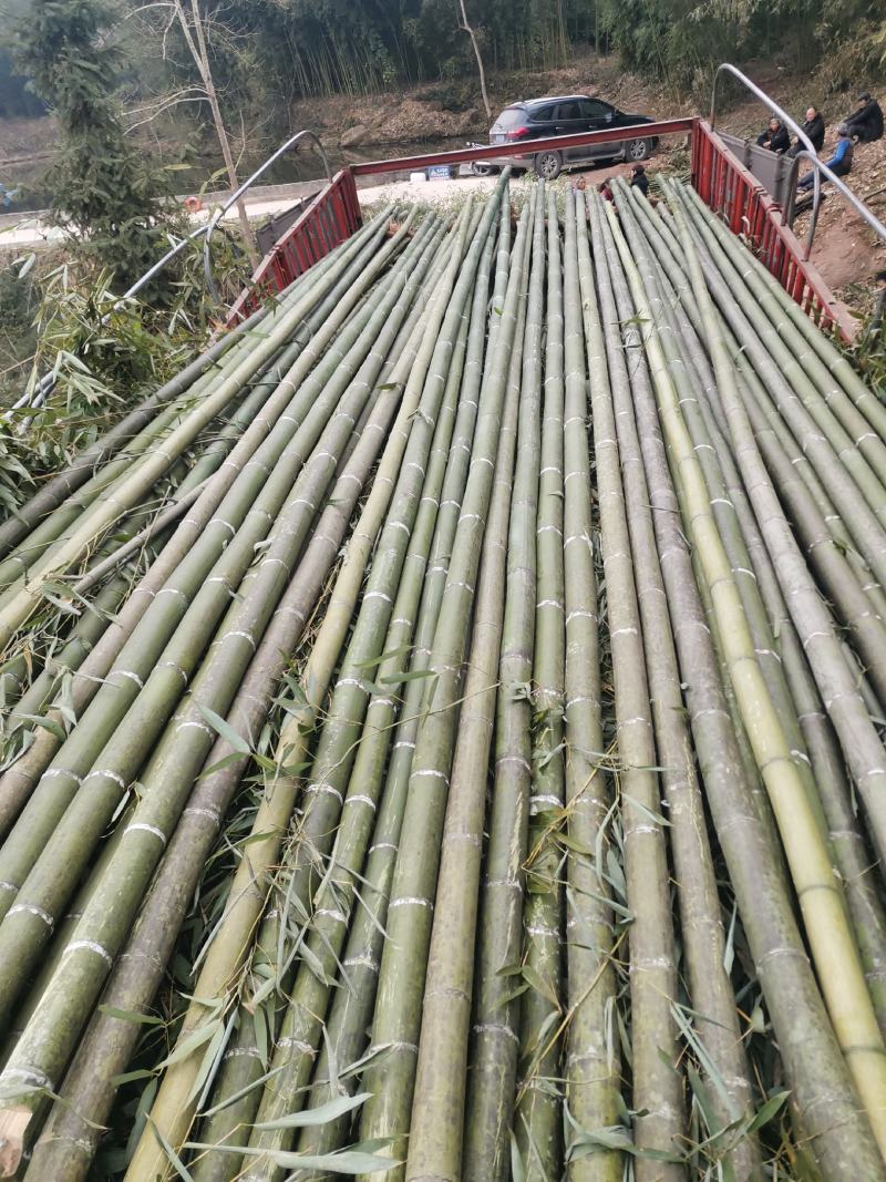 斑竹竹竿竹节各个规格都可以定做产地现货价格实惠