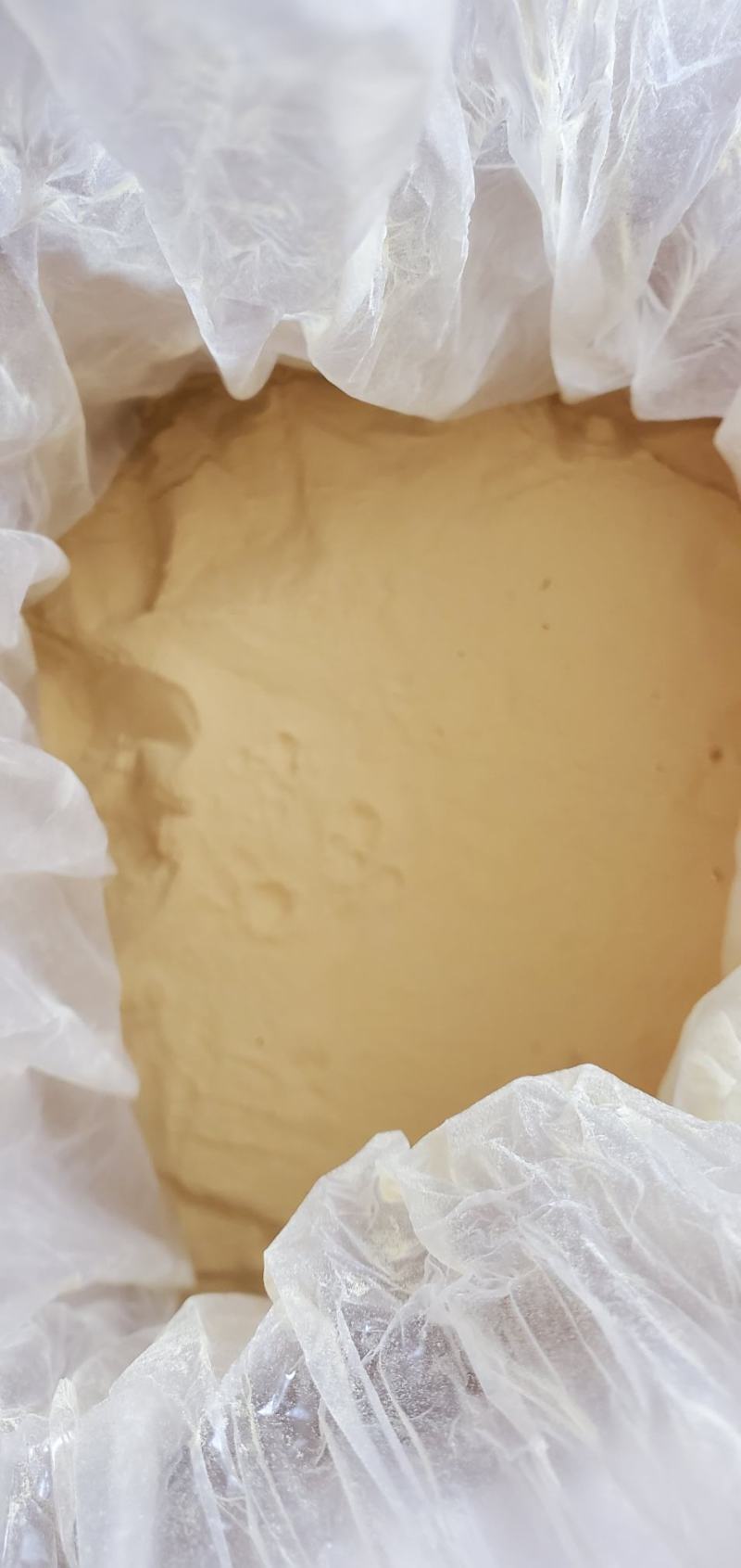 【精品】长白山松花粉无杂质新货现磨品质保证欢迎来电咨询