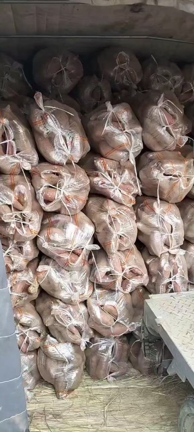 山东红薯手选好货，货源充足，产地直发，质量保证，全国发货