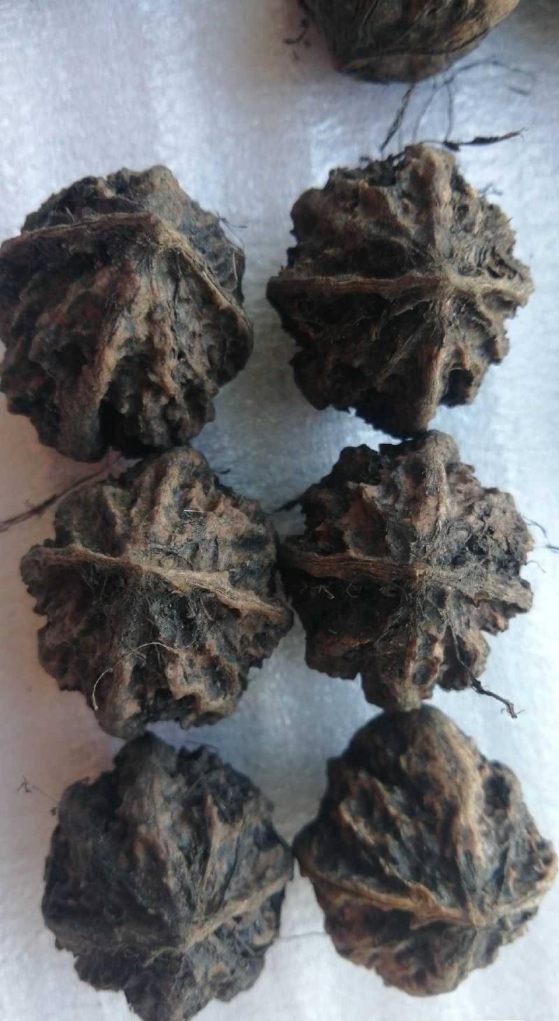 山核桃，秋子核桃，25~30mm去皮干