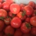 口感型西红柿🍅