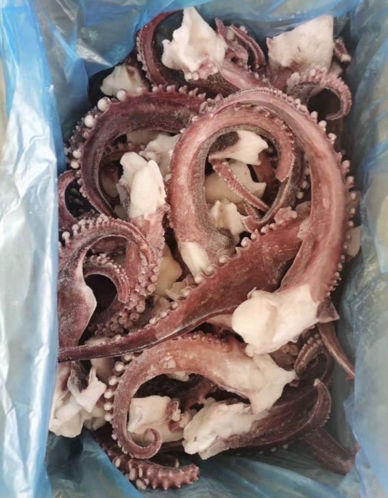 脆口章鱼须，大规格一只5量到8量