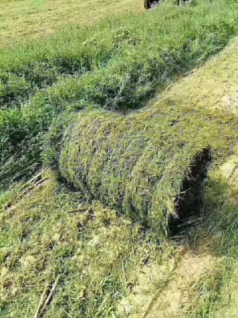 山东郓城骏腾秸秆粉碎打捆机圆捆厂家直销，