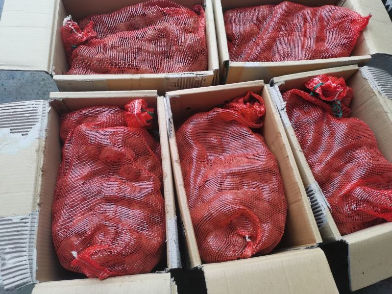 豆腐魔芋500克以上无破损的魔芋基地全国供应